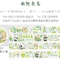T92fu｜分裝｜NEW｜EverEin有熊手帳｜小綠｜大橘｜阿藍｜全系列｜紙膠帶｜手帳素材｜現貨｜快速出貨-規格圖7