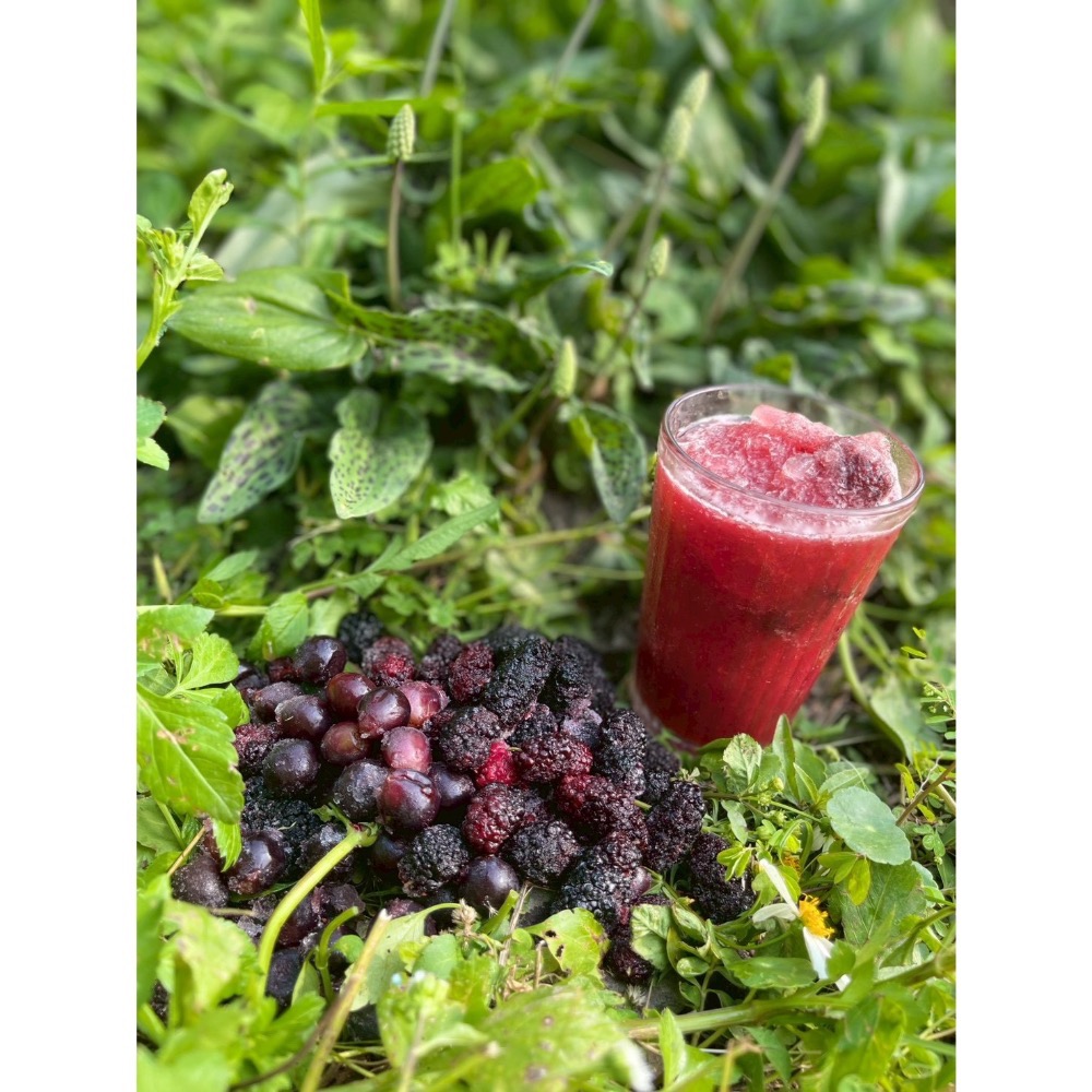 黑葡萄桑葚 必備飲品-細節圖2