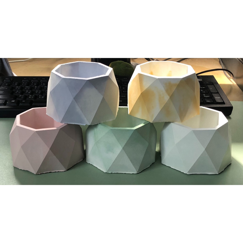 水泥盆 大八角 多肉植物 多肉盆栽-細節圖2