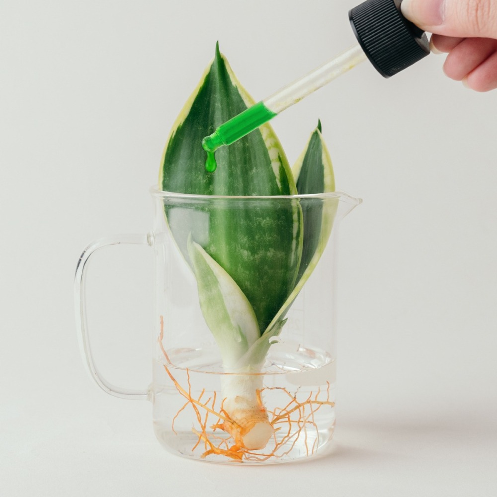 nX20 植物營養液禮盒-細節圖4