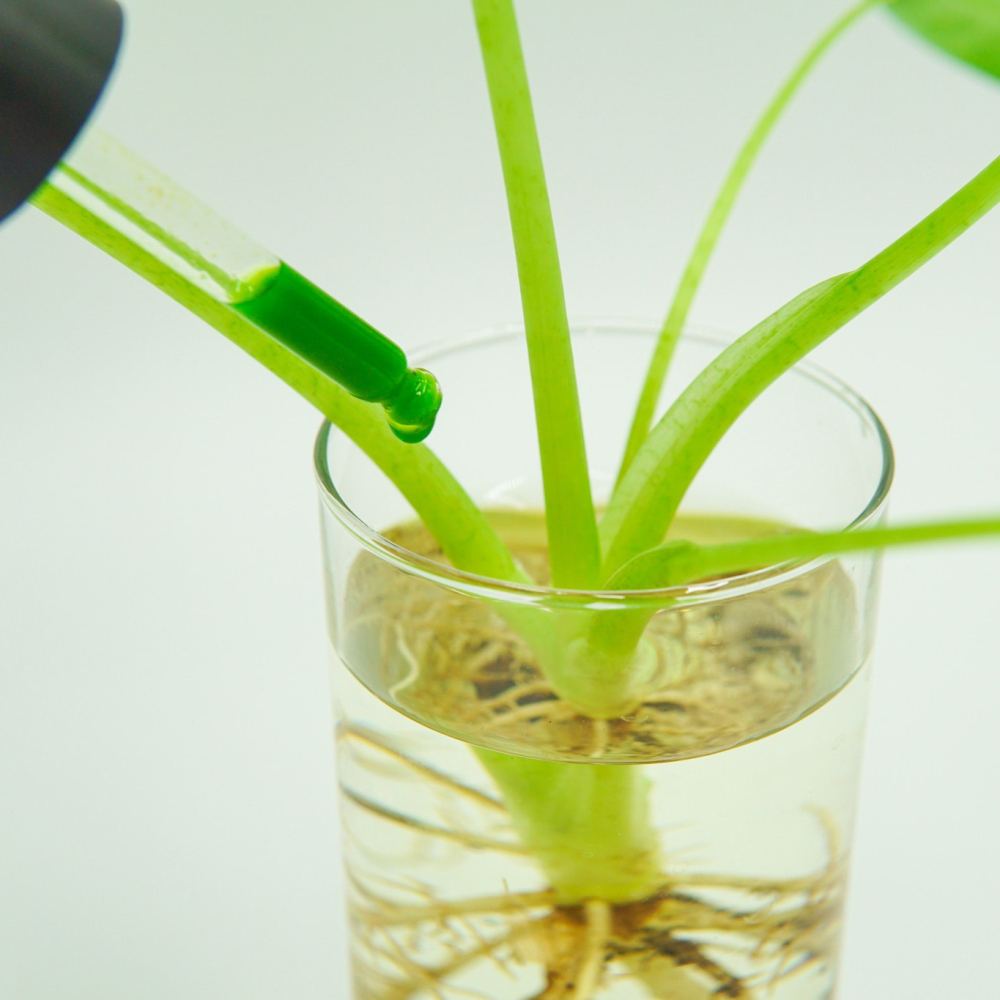 1%植物營養精華 60 ml-細節圖3