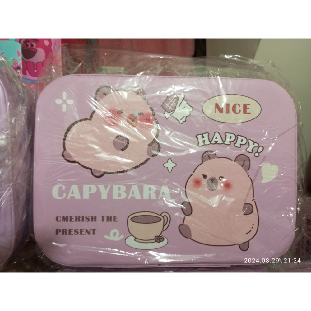 正版 卡皮巴拉 水豚 手提包 收納包-細節圖3