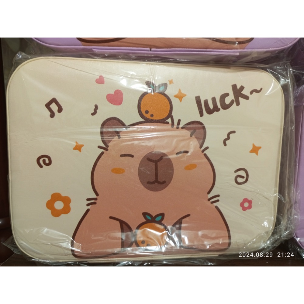 正版 卡皮巴拉 水豚 手提包 收納包-細節圖5