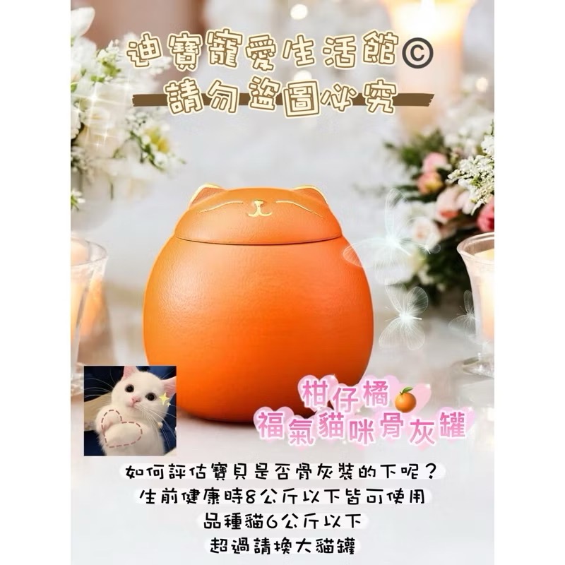 【 迪寶寵愛生活館】福氣貓造型骨灰罐-規格圖4