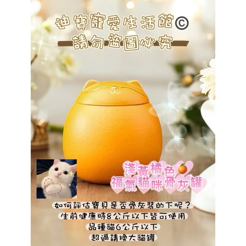 【 迪寶寵愛生活館】福氣貓造型骨灰罐-規格圖4