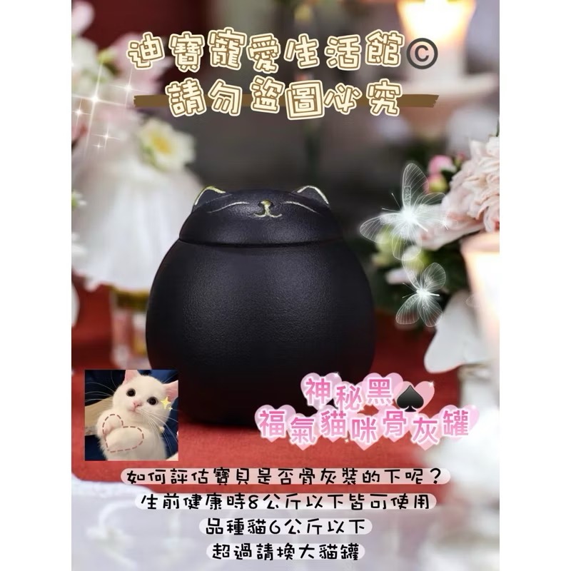 【 迪寶寵愛生活館】福氣貓造型骨灰罐-規格圖4