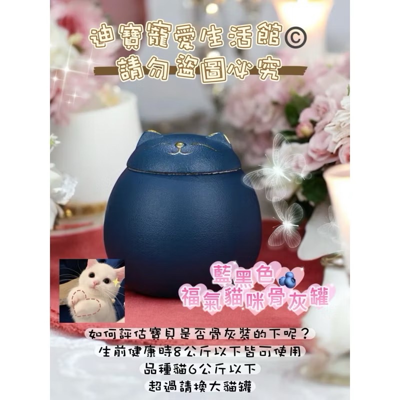 【 迪寶寵愛生活館】福氣貓造型骨灰罐-規格圖4