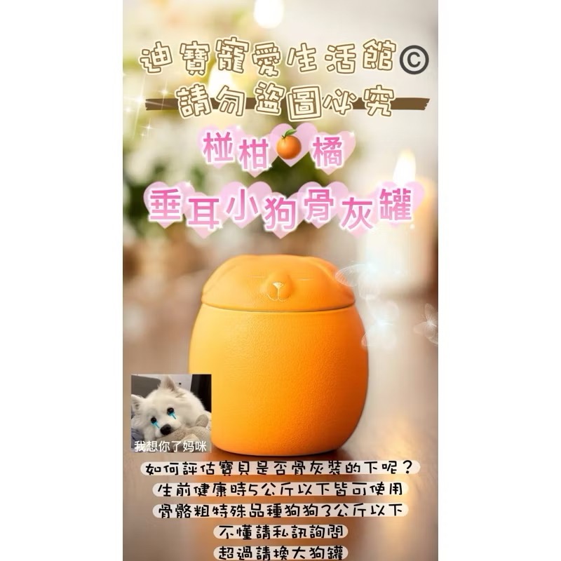 【 迪寶寵愛生活館】垂耳狗狗造型骨灰罐-細節圖3