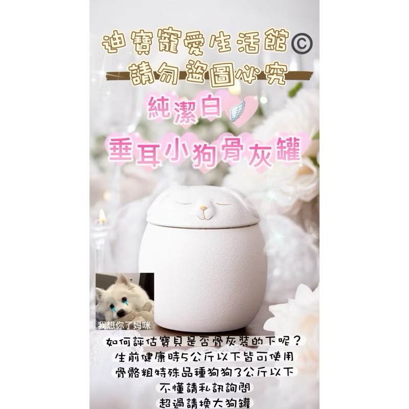 【 迪寶寵愛生活館】垂耳狗狗造型骨灰罐-規格圖5