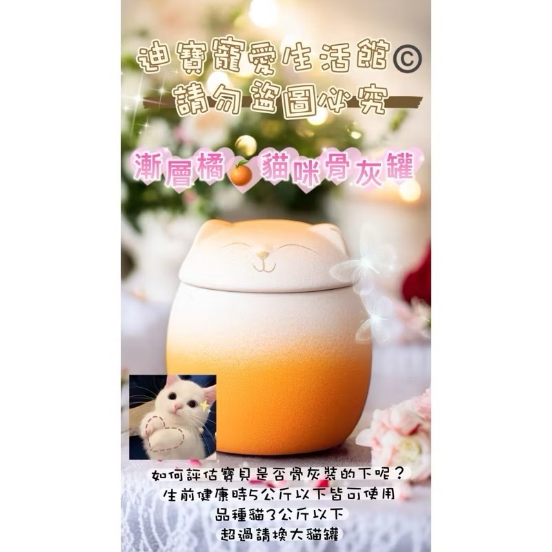 【 迪寶寵愛生活館】小寵物貓咪造型紀念骨灰罐-規格圖10
