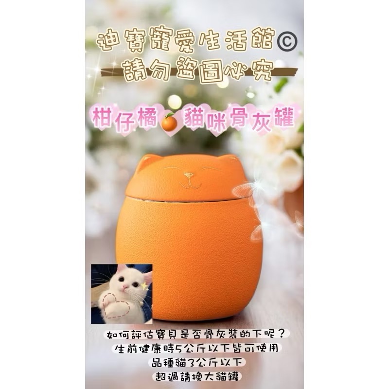 【 迪寶寵愛生活館】小寵物貓咪造型紀念骨灰罐-規格圖10