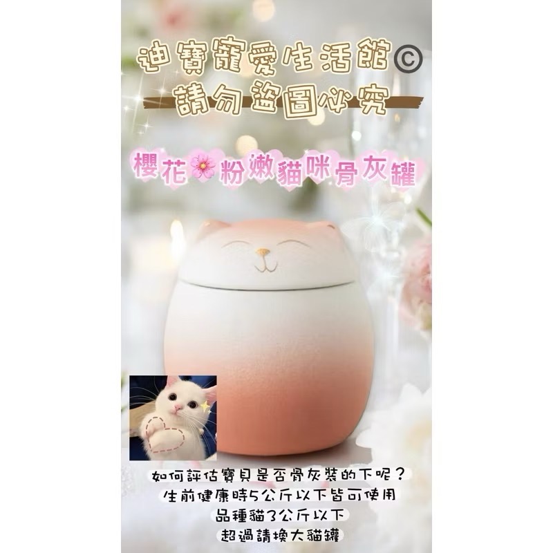 【 迪寶寵愛生活館】小寵物貓咪造型紀念骨灰罐-規格圖10