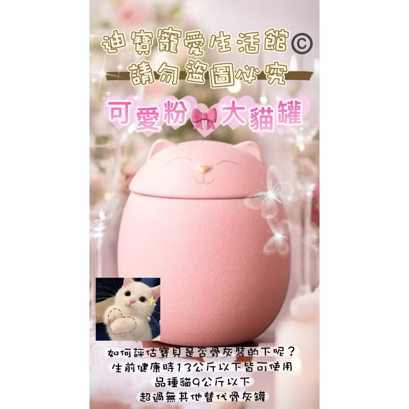 【 毛孩彩虹🌈殿】寵物大貓咪造型紀念骨灰罐-規格圖7