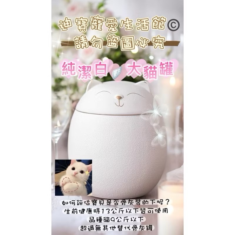 【 毛孩彩虹🌈殿】寵物大貓咪造型紀念骨灰罐-規格圖7
