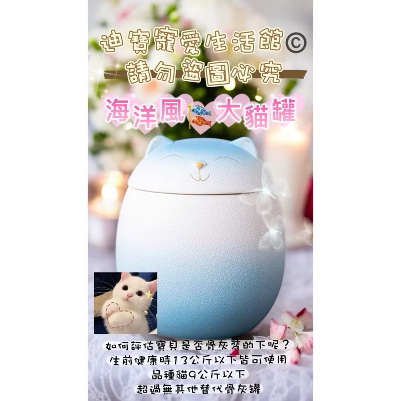 【 毛孩彩虹🌈殿】寵物大貓咪造型紀念骨灰罐-規格圖7