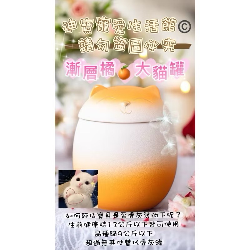 【 毛孩彩虹🌈殿】寵物大貓咪造型紀念骨灰罐-規格圖7