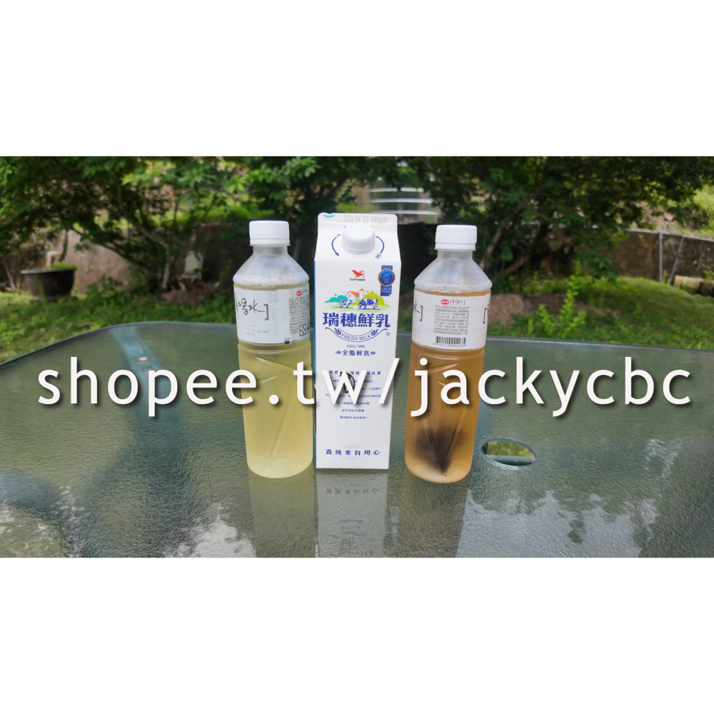 任選 茶包單包購買 24年冬片榕泰茶業[特等師][頭等師]高山烏龍茶[杉林溪三角立體茶包] 紅烏龍 龍鳳峽熟香 冷泡茶包-細節圖6