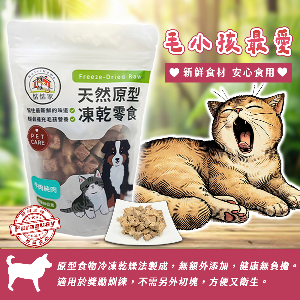 牛肉純肉凍乾 天然原型 寵物零食 寵物獎勵 寵物訓練-細節圖2