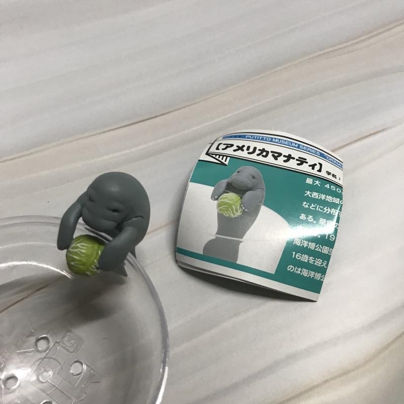 日本帶回🇯🇵海遊館限定扭蛋 海洋生物杯緣扭蛋 扭蛋含蛋紙 日本海洋生物扭蛋 海牛-細節圖2