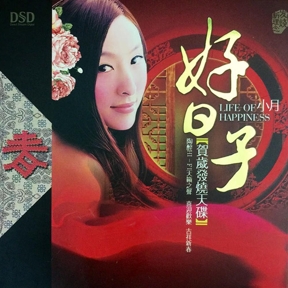 【新韻傳音】好日子2CD賀歲發燒天碟 HI-FI天籟之聲 CD DSD888-14-細節圖2