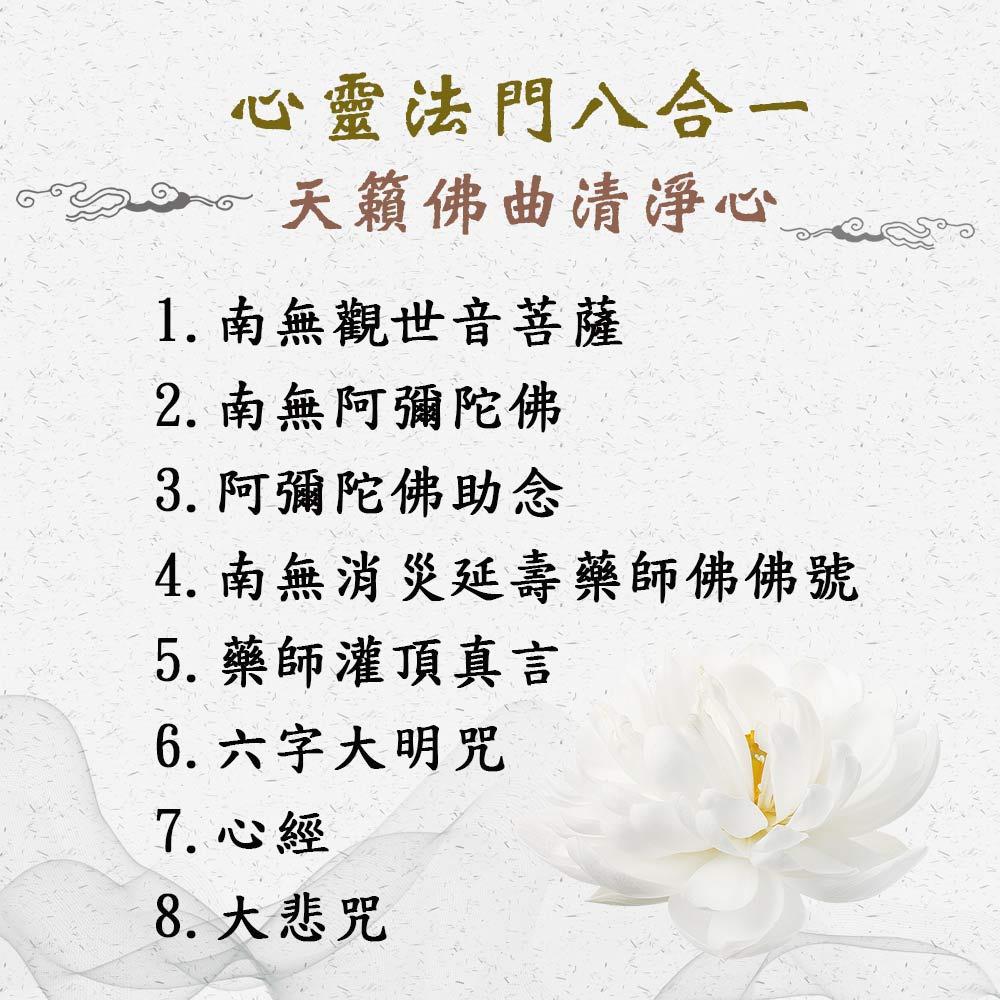 【新韻傳音】會念佛號的計數器 心靈法門八合一念佛計數器 聽著佛號邊計數 B008-細節圖3