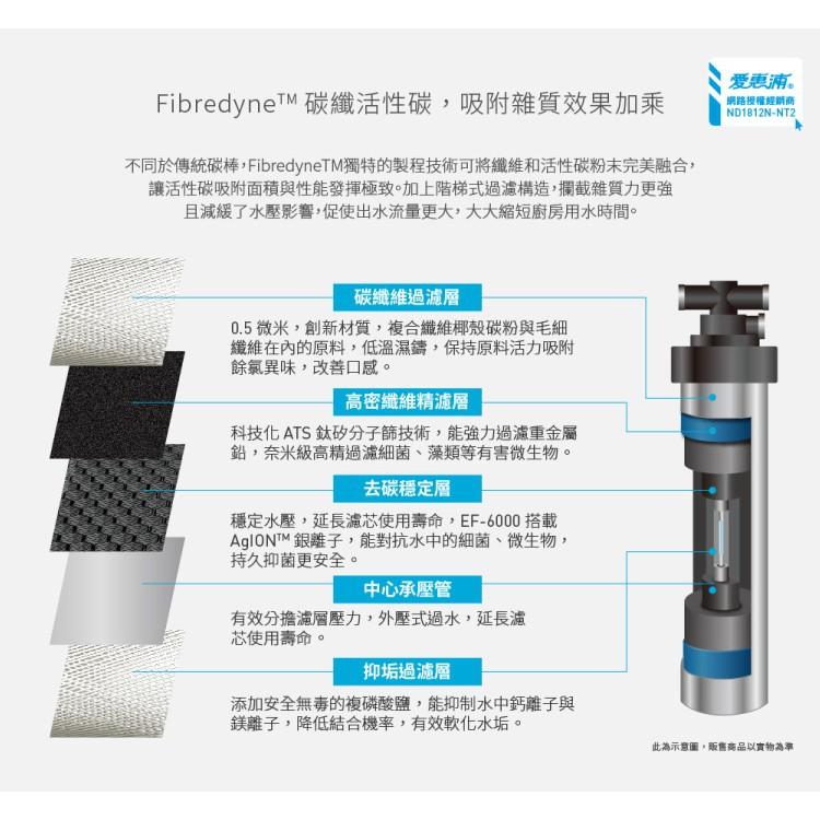 愛惠浦 強效碳纖維家用型淨水器_PurVive-EF1500 (大巨光)-細節圖4