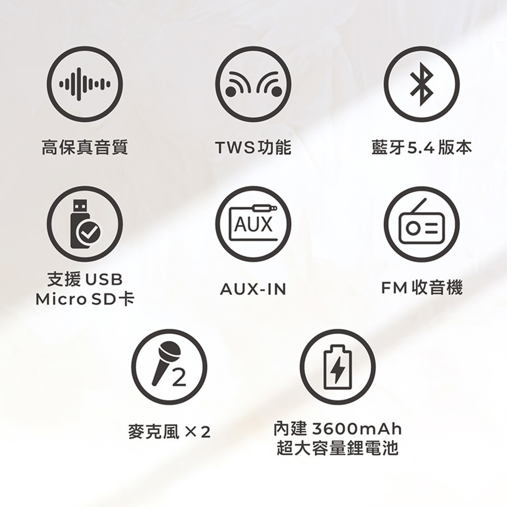 【公司貨有保固】aiwa 日本愛華  K歌音箱 經典美型藍牙音箱 露營手提式卡拉OK  AI-KBQ20-細節圖2