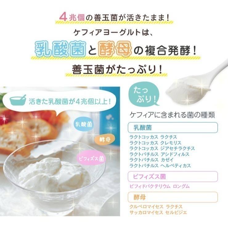 克菲爾優格菌 日本 ROYAL KEFIR PRO 克菲爾 優格粉 優格菌 菌粉 優格菌粉 希臘優格 免優格機 生酮-細節圖2