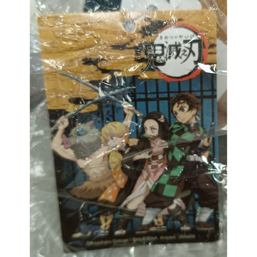 [戰神的店] 鬼滅之刃 嘴平伊之助 坐姿款 娃娃 玩偶 9英吋-細節圖5
