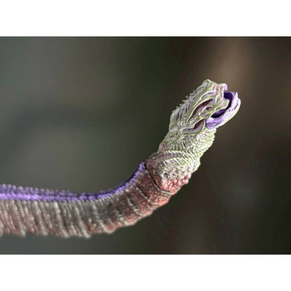 日版 現貨 未拆 封套 B賞 正宗 哥吉拉 2016 一番賞-細節圖3