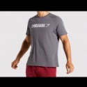 「呱呱健身」🇬🇧Gymshark APOLLO 顯壯短袖 肌肉修身款 短袖 健身短袖 muscle fit 緊身款-規格圖9