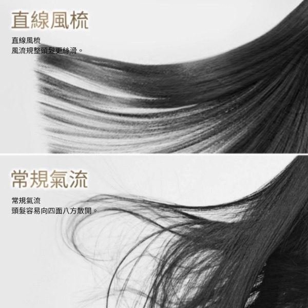 Panasonic 國際牌 負離子溫控吹風機 EH-NE6M-細節圖3