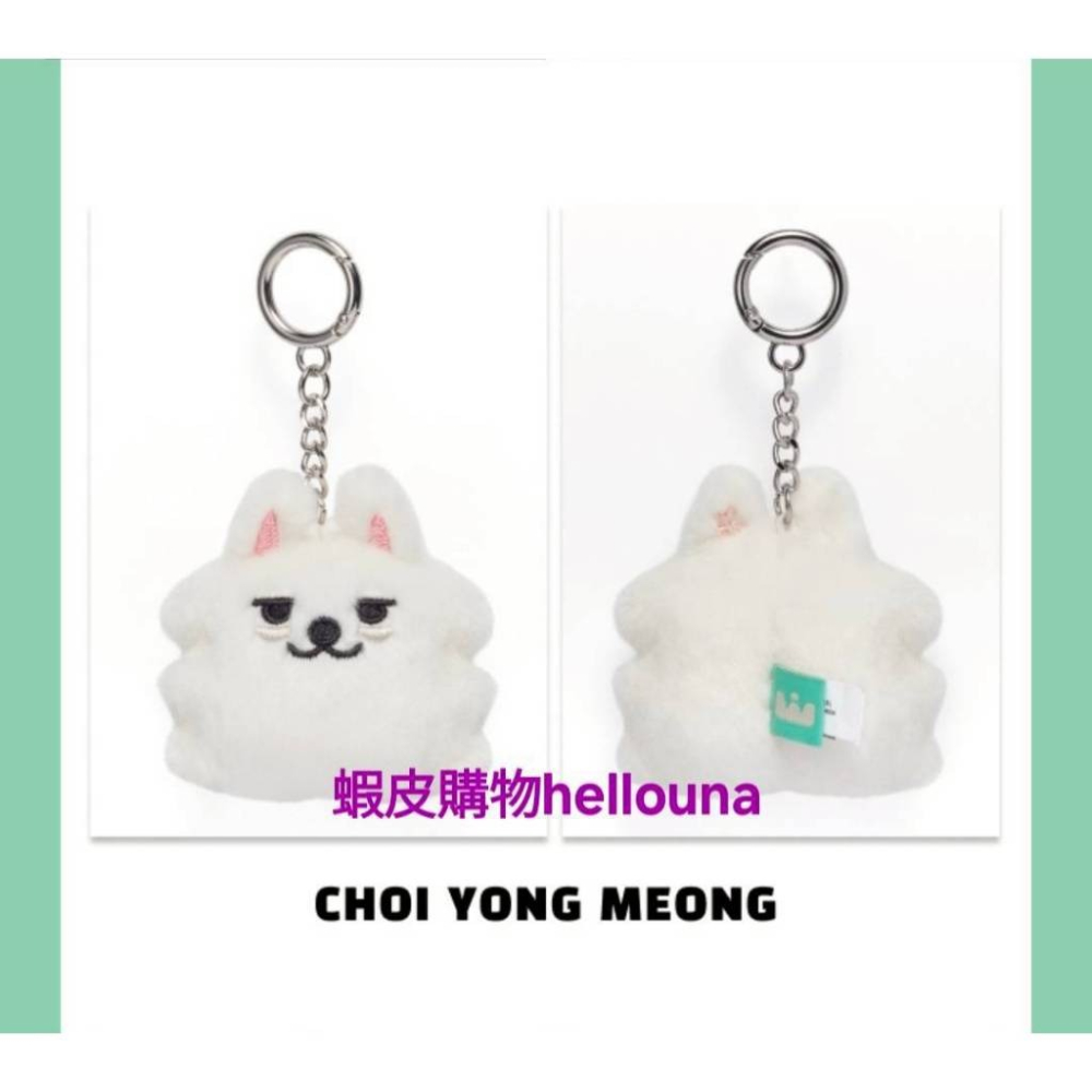 【TXT角巴兔 勇猛大頭吊飾+日巡扭蛋貼紙+秀彬立牌】團子 鑰匙圈 大臉掛飾 糰子 掛件 大頭娃娃 永萌 大頭玩偶 原皮-細節圖2