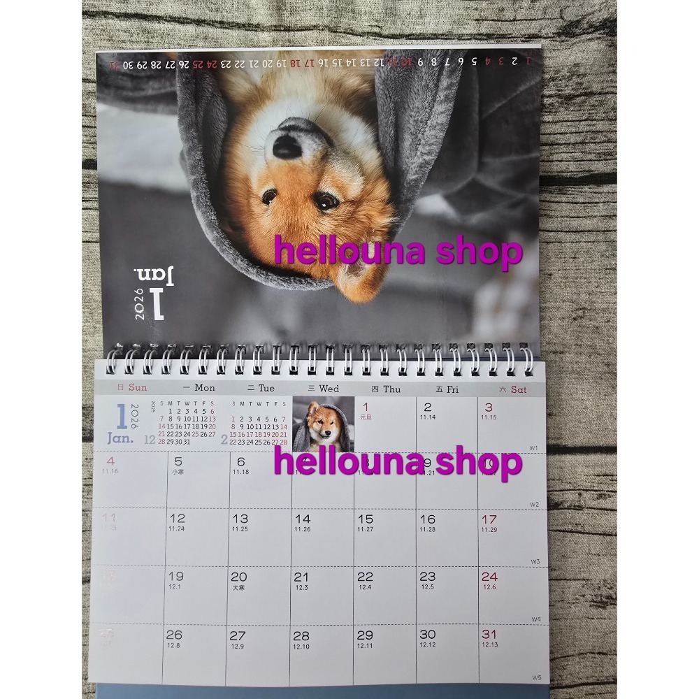 【貓貓狗狗2026年桌曆 送貼紙 酷洛米紅包袋】貓咪年曆 小狗月曆 可愛小動物寵物日曆 溫馨療癒風格 橘貓照片 馬爾濟斯-細節圖2