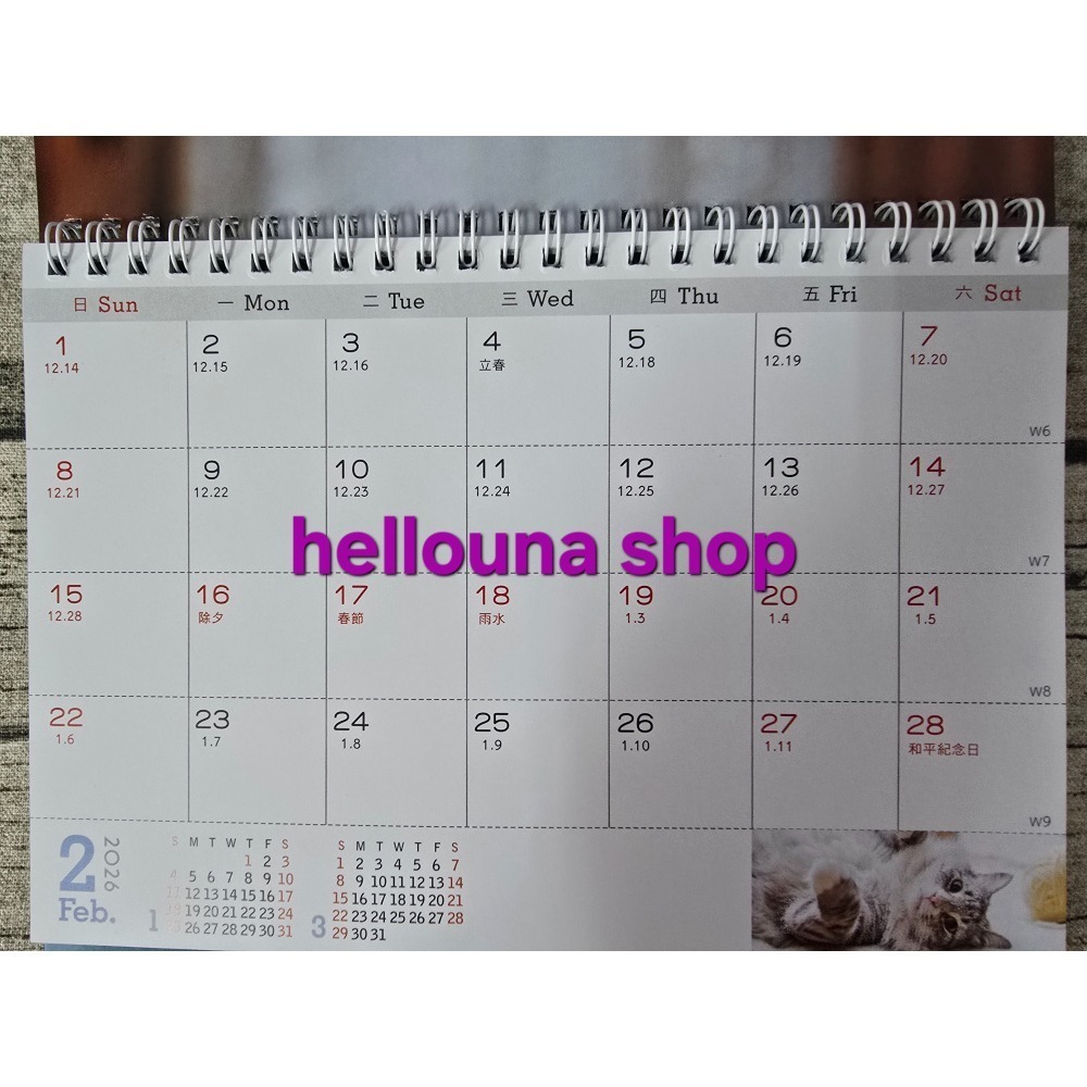 【貓貓狗狗2026年桌曆 送貼紙 酷洛米紅包袋】貓咪年曆 小狗月曆 可愛小動物寵物日曆 溫馨療癒風格 橘貓照片 馬爾濟斯-細節圖3