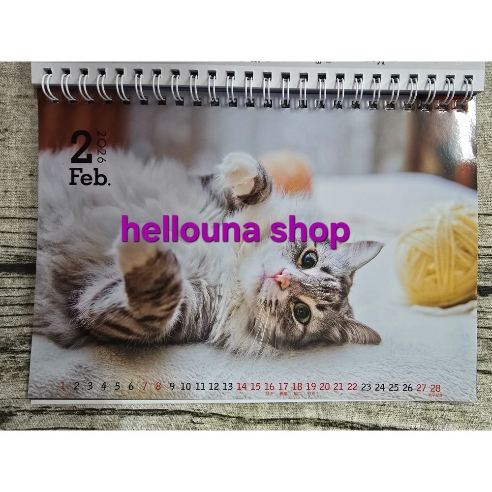 【貓貓狗狗2026年桌曆 送貼紙 酷洛米紅包袋】貓咪年曆 小狗月曆 可愛小動物寵物日曆 溫馨療癒風格 橘貓照片 馬爾濟斯-細節圖4