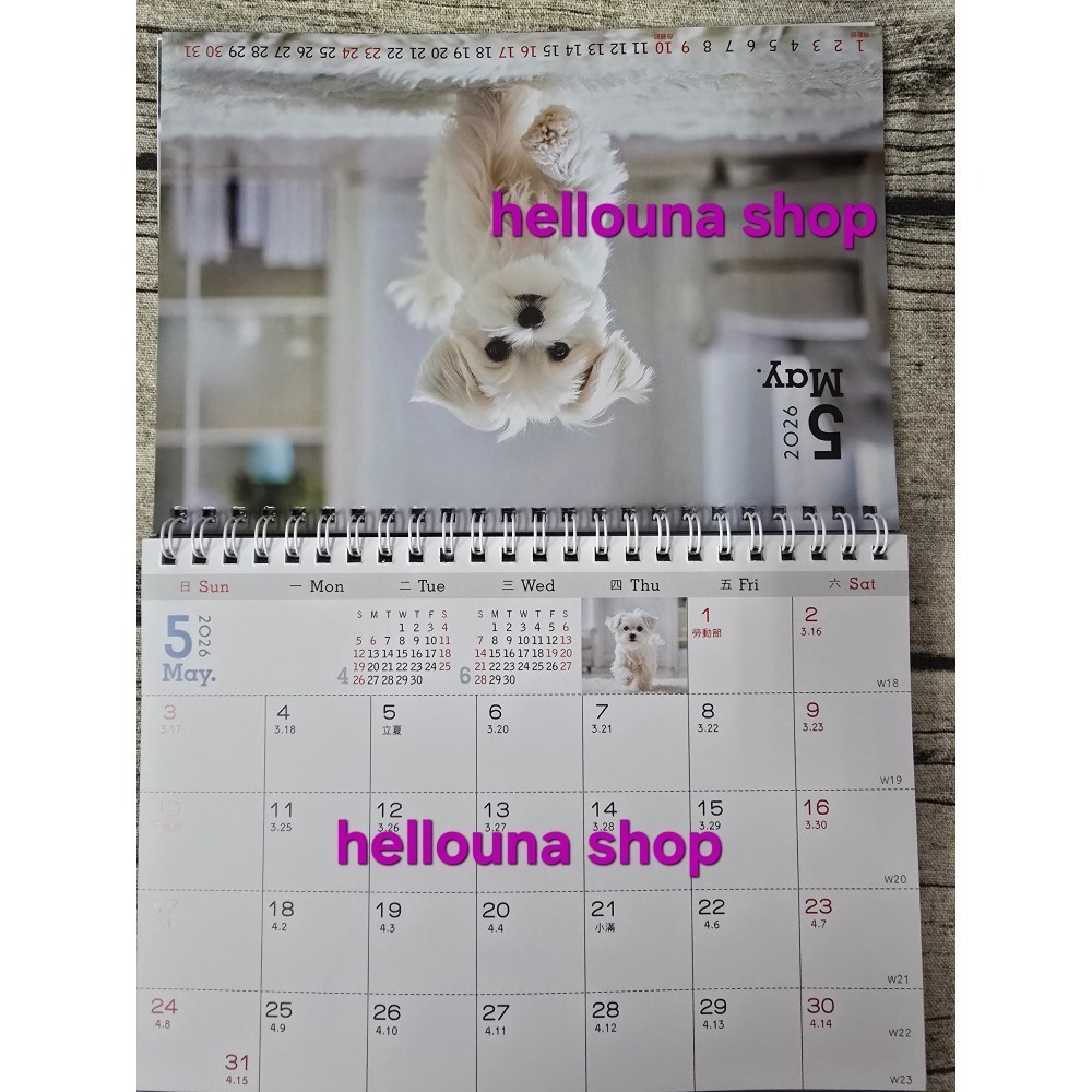 【貓貓狗狗2026年桌曆 送貼紙 酷洛米紅包袋】貓咪年曆 小狗月曆 可愛小動物寵物日曆 溫馨療癒風格 橘貓照片 馬爾濟斯-細節圖5