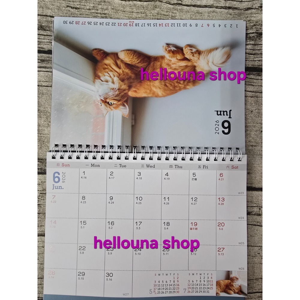 【貓貓狗狗2026年桌曆 送貼紙 酷洛米紅包袋】貓咪年曆 小狗月曆 可愛小動物寵物日曆 溫馨療癒風格 橘貓照片 馬爾濟斯-細節圖6