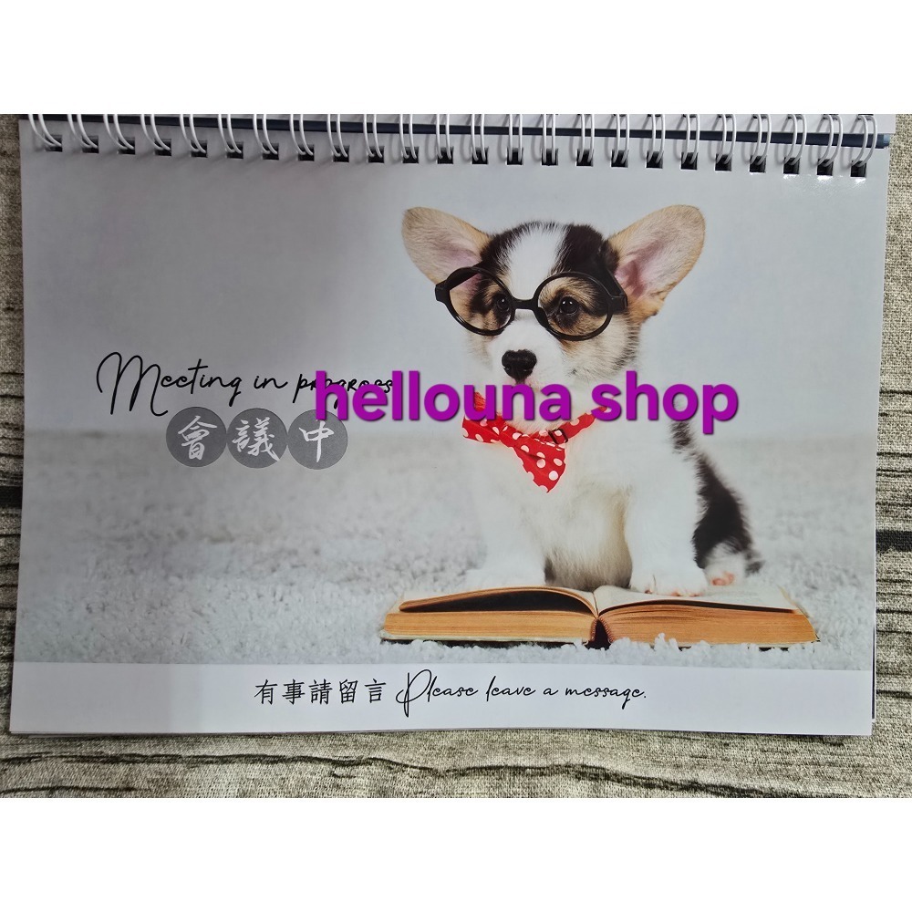 【貓貓狗狗2026年桌曆 送貼紙 酷洛米紅包袋】貓咪年曆 小狗月曆 可愛小動物寵物日曆 溫馨療癒風格 橘貓照片 馬爾濟斯-細節圖7