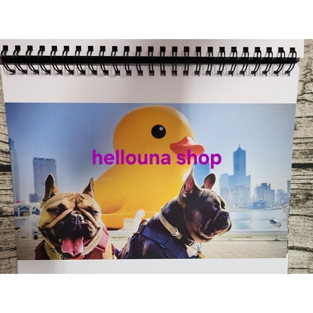 60出【2026年小狗桌曆 送日本鮭魚壽司造型橡皮擦】鬥牛犬 法鬥 英國 法國 美國 可愛動物 寵物狗狗 年曆 月曆日曆-細節圖7