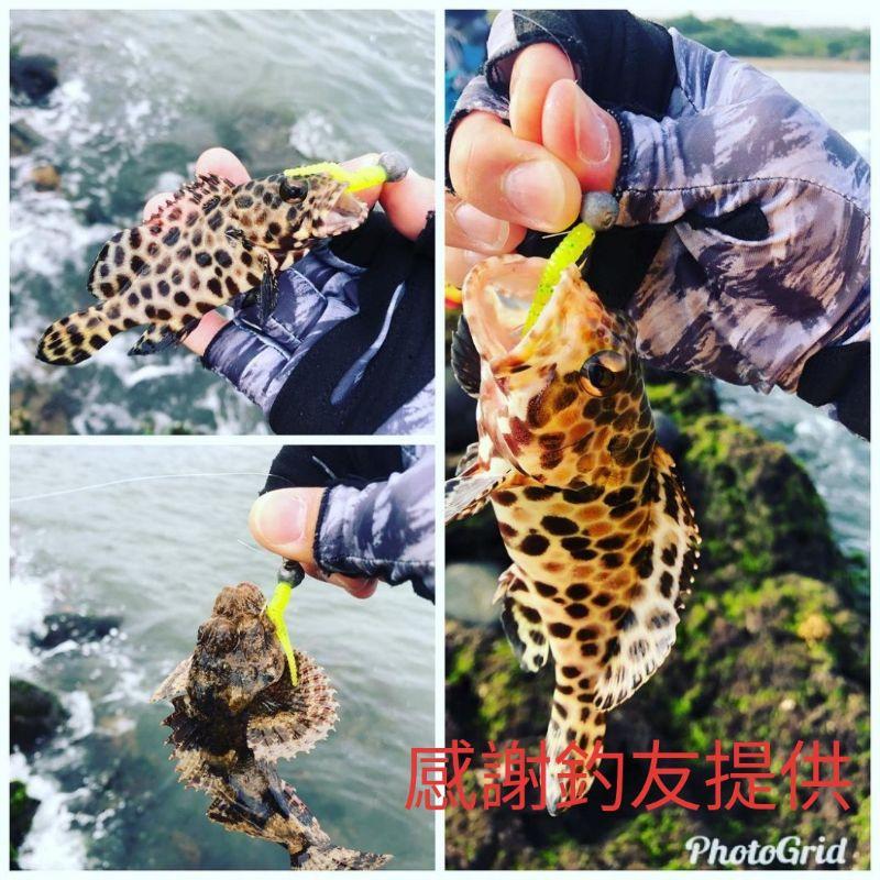 【LUZ路亞】【現貨】迷你小針尾軟蟲 0.3g 老鼠尾 根魚 路亞 假餌 亮片 米諾 顫泳 鐵板 路亞軟蟲 路亞假餌-細節圖7