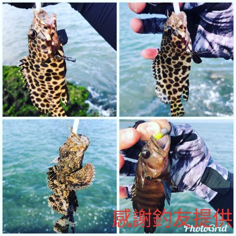 【LUZ路亞】【現貨】迷你小針尾軟蟲 0.3g 老鼠尾 根魚 路亞 假餌 亮片 米諾 顫泳 鐵板 路亞軟蟲 路亞假餌-細節圖8