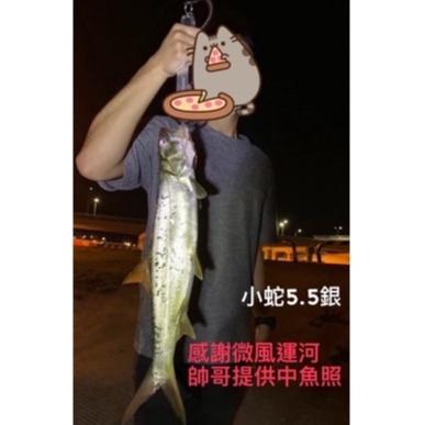 【LUZ路亞】【現貨】三孔 小蛇VIB 微物 迷你 顫泳 假餌 微拋 高品質 魚 蝦 釣魚 吳郭魚 石斑 黑格 管池-細節圖3