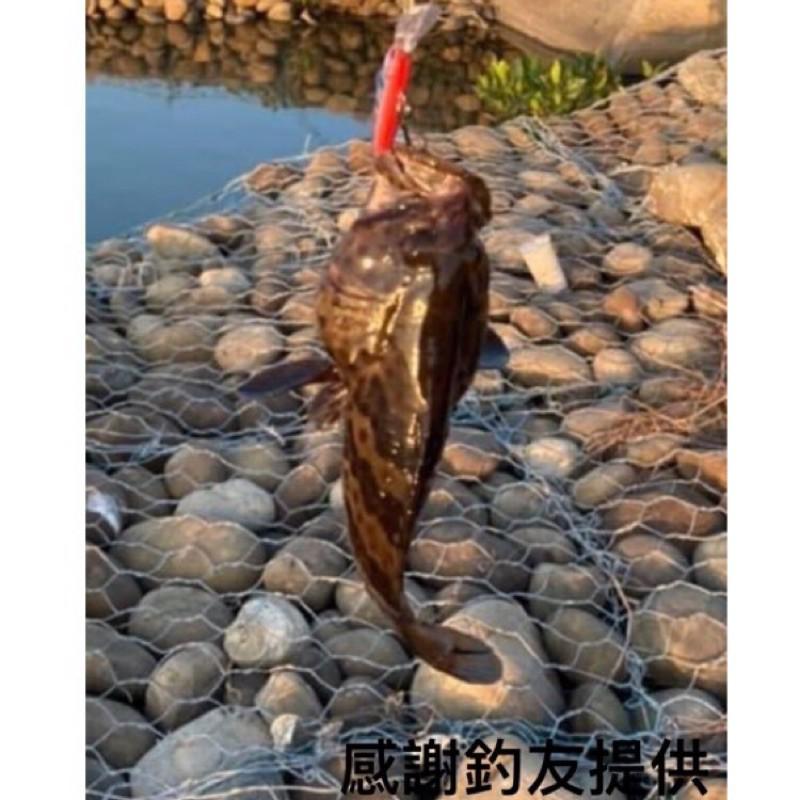 【LUZ路亞】【現貨】盜墓米諾 6g 搖滾 路亞 全泳層 假餌 釣魚 根魚 顫泳 路亞假餌 路亞軟蟲 釣魚 魚 蝦 鐵板-細節圖5