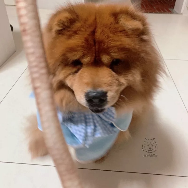 👉鴨氣管脆笛酥👈〔台灣🦆〕-細節圖3