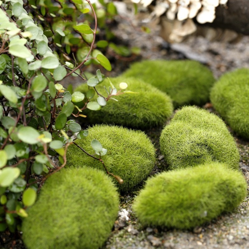 【現貨】微景觀/仿真青苔石/青苔石/苔蘚石/仿真石/植絨石頭/造景/桌上裝飾/ 園藝/拍攝攝影/婚禮擺設/園藝裝飾-細節圖5