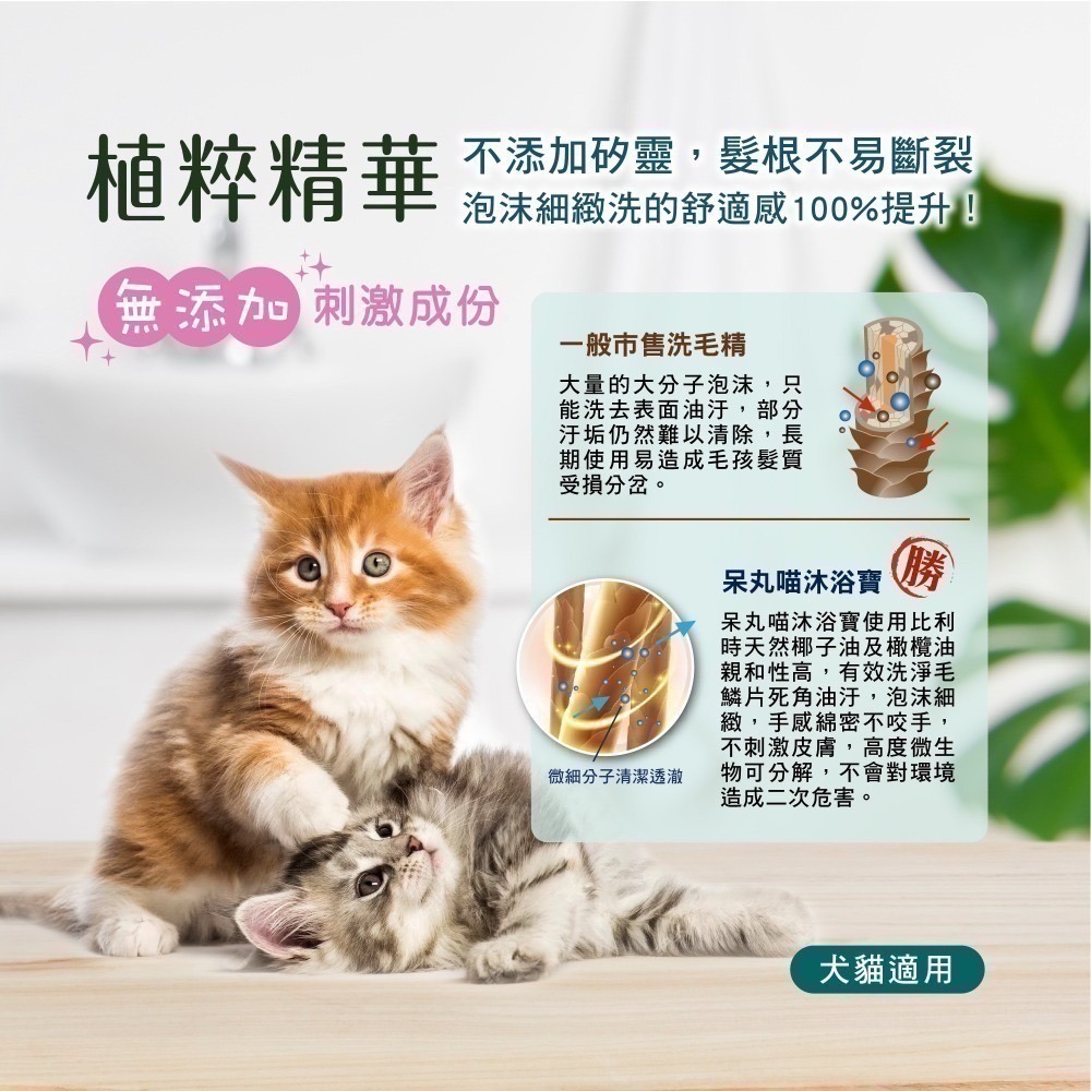 呆丸喵 500ml 寵物沐浴乳 寵物洗毛精 | 天然植物溫和配方 台灣製造-細節圖3