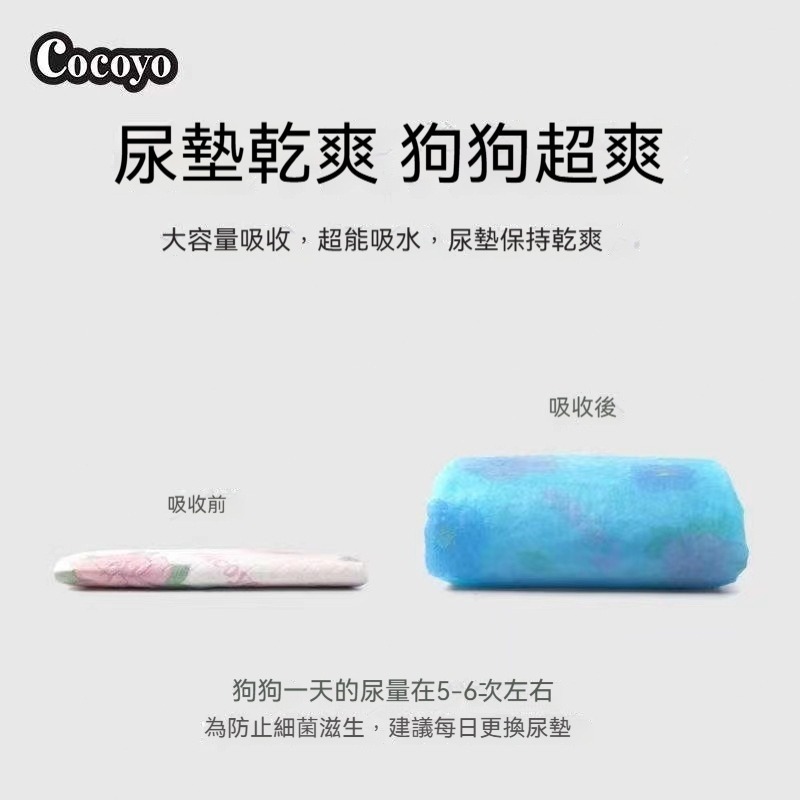 Cocoyo尿布墊寵物 寵物尿布墊加厚 消臭狗尿布 隔尿墊 狗狗尿墊 寵物墊 寵物尿墊 狗狗尿布 狗狗尿布墊-細節圖7