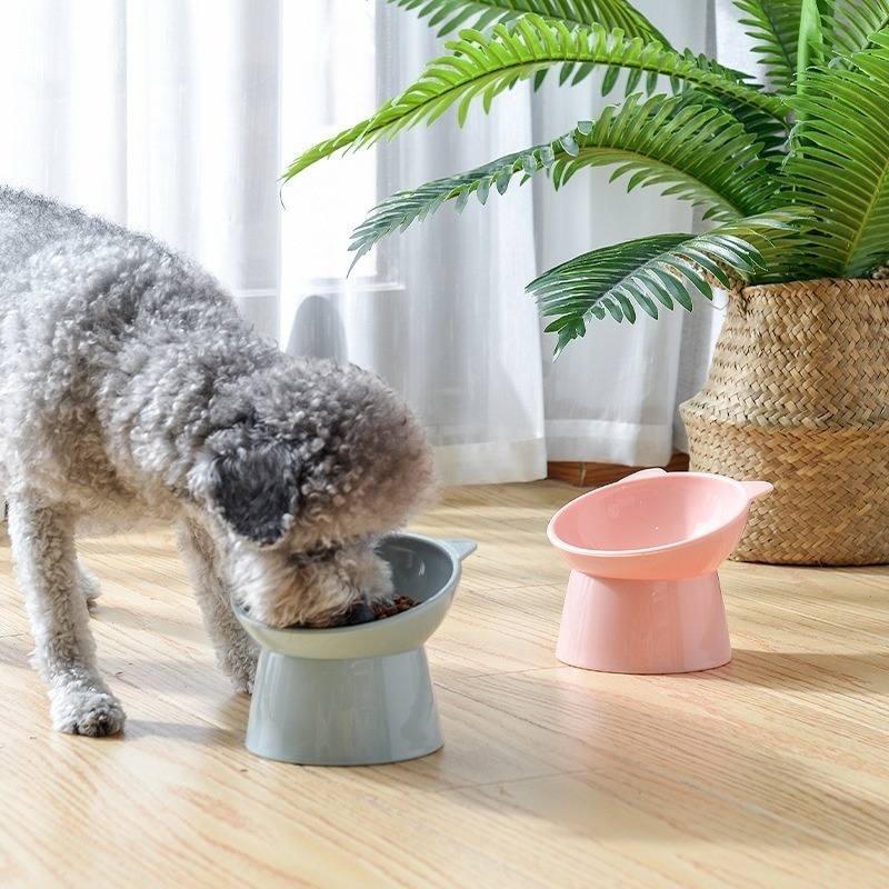 餵食碗 飼料碗 貓碗 狗碗 寵物碗 高腳碗 護頸碗 斜口止滑碗 飯碗 貓食盆 寵物高腳碗 寵物護頸碗 護頸貓碗-細節圖3