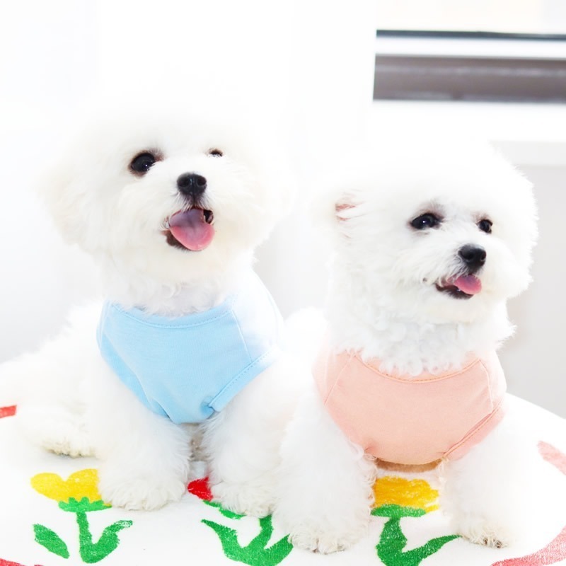寵物衣服 兩腳衣 春夏背心 貓咪狗狗衣服 夏季薄款 鋪棉 透氣背心 狗狗衣服 狗衣服 貓衣服 寵物背心 胖瘦衣-細節圖7